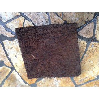 Xaximplatte Baumfarn aus Südamerika 30x30x2-3cm Rückwand...
