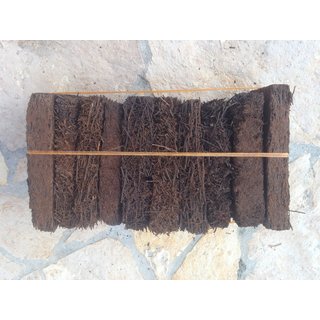 ANGEBOT 10 Xaximplatten aus Südamerika ca. 15x10x2-3cm