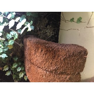 Angebot Eck Xaximtopf zum bepflanzen 19x13x14cm (LxBxH) -...