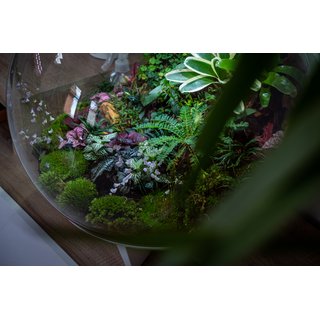 biOrb AIR 60 Terrarium weiss