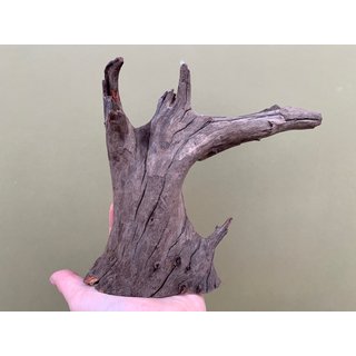 Pinwood 20-30cm