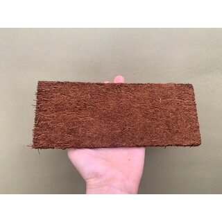 Xaximplatte 10x25x1cm fr Rhapidophora und Monstera