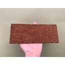 Xaximplatte 10x25x1cm f�r Rhapidophora und Monstera