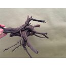 Spiderwood black 20-30cm