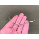 Amydrium Medium Silver Cutting/Node