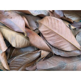 Mangostane Leaves 1-2 Liter