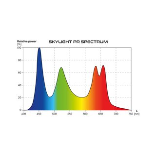 SKYLIGHT PR-40