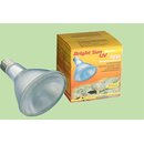 Lucky Reptile Bright Sun UV Desert, 35 Watt
