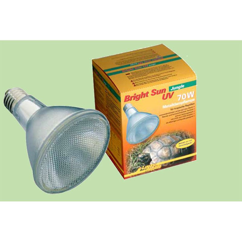 Tappetino In Ardesia Per Terrario - 2 Pezzi 12x12x0.8cm | Piattaforma Per Rettili | Cibo E Riposo - Foto 4