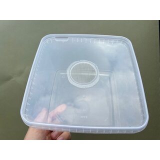 Zuchtbox 19x19x 11cm mit Gazedeckel