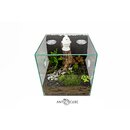 ANTCUBE Starter Set Vivarium 30x30x30 - Wrfel