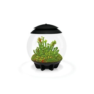biOrb AIR 30
