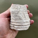 Orinoco Stone Jinstein