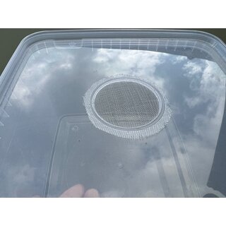 Bredingbox 19x19x 11cm mit Gazedeckel