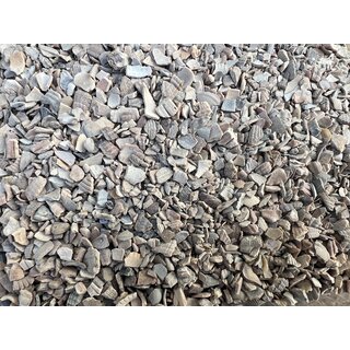 shell grit