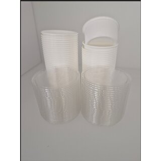 50 Kunststoffdosen zum Transport von Frschen 250 ml