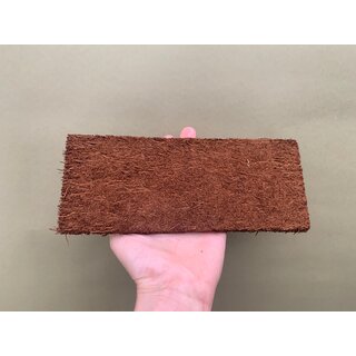 Xaximplatte Baumfarnplatte ca.45x15x1,5cm weich...