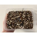 Bens Orchideen Soil, Spezial Erde 5 Liter