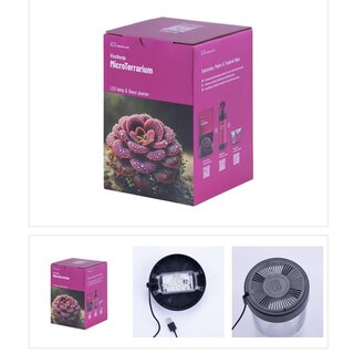 VivoVerde Mikro-Terrarium