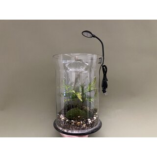 Mini LED 4W f�r Flascheng�rten Terra Base & Co.