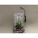 Mini LED 4W f�r Flascheng�rten Terra Base & Co.