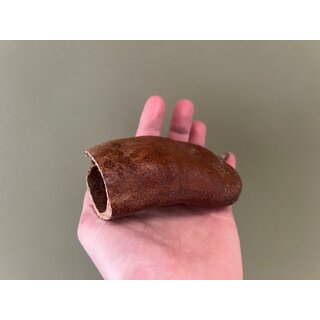 Dschungel‑Schote