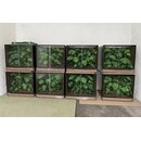 Angebot Terrarienanlage mit Beleuchtung und Xaximplatten