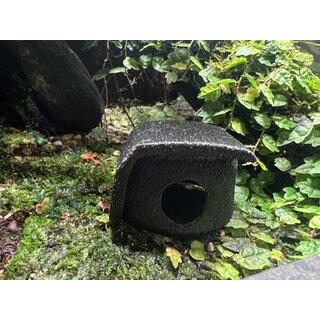 Laichh�usschen Jungle S