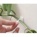 Rankhilfe f�r Philodendron oder Epipremnum 5 St�ck