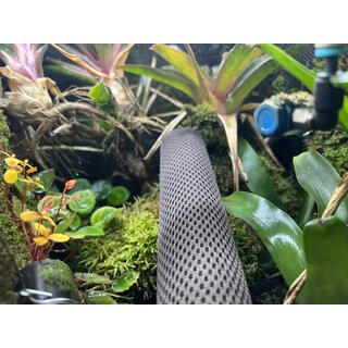 Hygrolon Liane 1 Meter