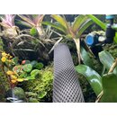 Hygrolon Liane 1 Meter