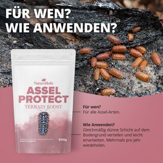NatureHolic Assel Protect TerrainBoost - f�r die Bodenverbesserung im Asselterrarium 500g