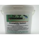 Drosophila Instant, 0,6 Kg