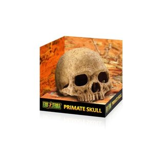 Exo Terra Primate Skull Primaat
