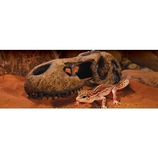 Exo Terra T-Rex Skull