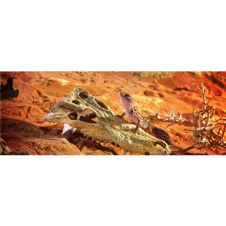 Exo Terra Crocodile Skull