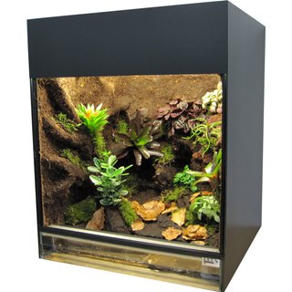Jungle Terrarium Compact, 40x40x50 cm