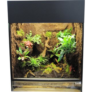 Jungle Terrarium Compact, 65x40x60 cm