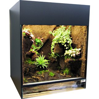 Jungle Terrarium Compact, 65x40x60 cm