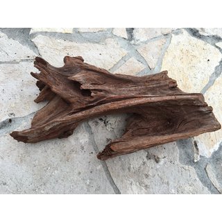 Mangrovenwurzel ca. 30cm