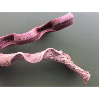 Kleine Liane 20-30cm