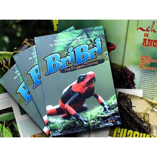 BriBri - The Froggers Journal No. 2
