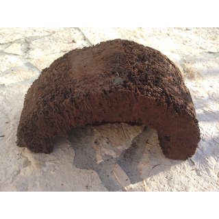 Xaximhhle (L) aus Neuseeland ca.19x10x14 (LxBxH) -...